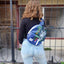 Customize it - Your Unique Handpainted Crossbody Bag - Made to Order